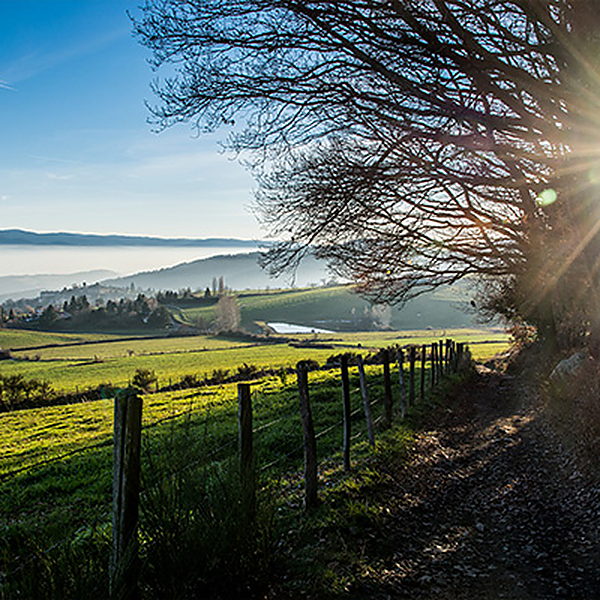 Les monts du Lyonnais au petit matin